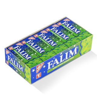 Falim Kaugummi mit Minzaroma ohne Zucker (20 x 5 Stück/140g), Box